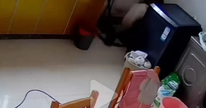 弟媳把尿倒进洗衣机后续:曝光正脸只是刚开始，更致命的在后面