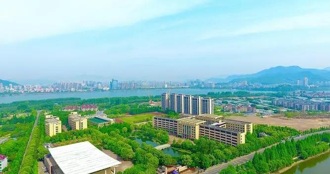 实探杭州被“电商”拉黑街道