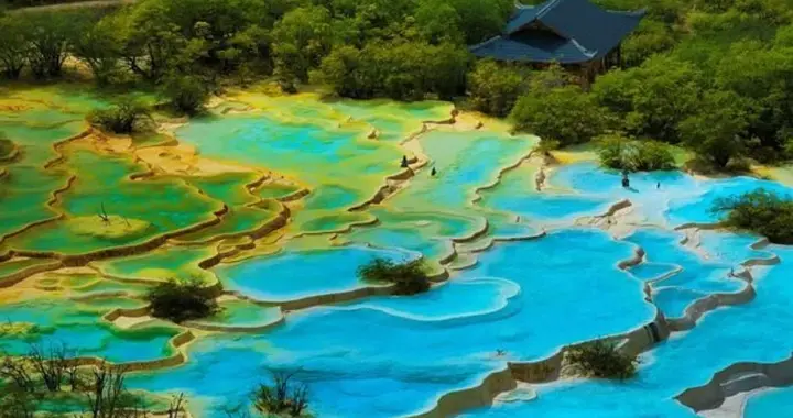 误入人间瑶池｜游黄龙，赴一场彩池与幽兰的夏日之约