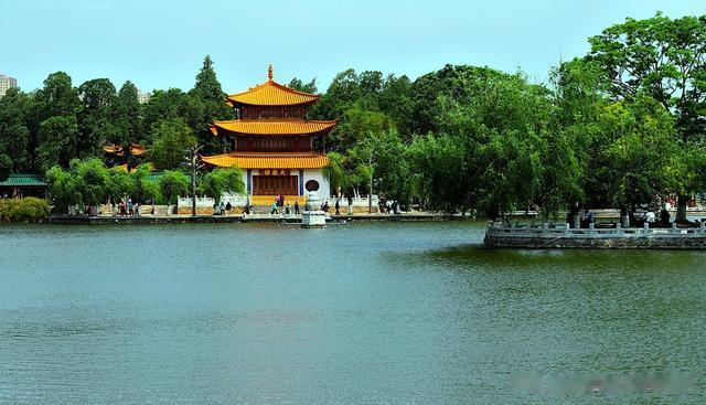 月季花开香满城