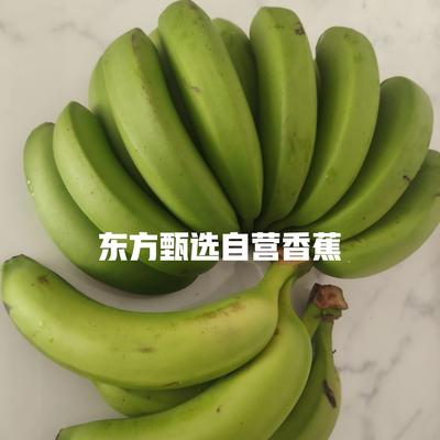 开心平淡的幸福