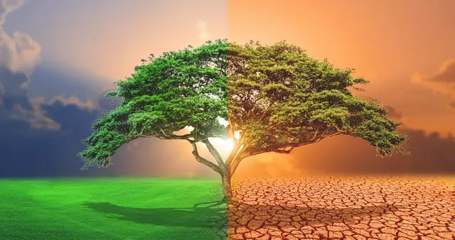 很多人被拖垮，往往不是因为穷，而是长期待在这类人身边