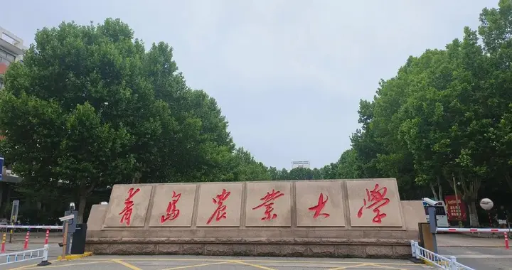 青岛农业大学2025年录取分数线汇总，各省哪些专业分数线较高？