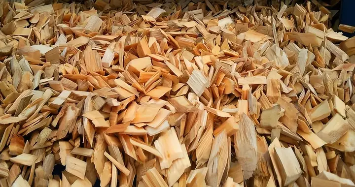 日本和美国早已禁种，那中国为何依然大力种植？背后的原因不简单