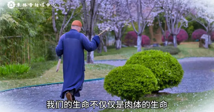 我们的物质生命离不开饮食、阳光和空气