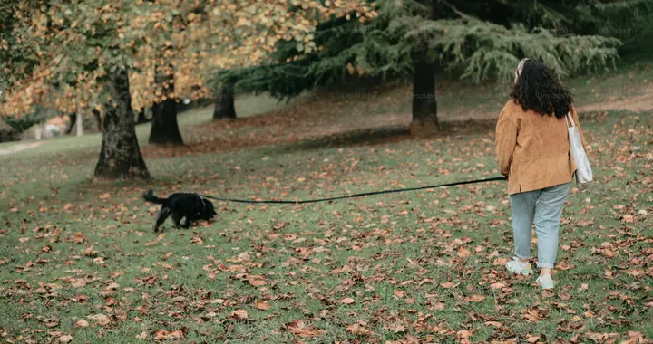 50岁后每天走5000步，能延缓大脑衰退3年