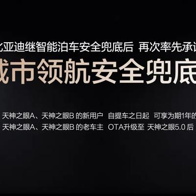李老猫说车：比亚迪智能化战略发布会，动静