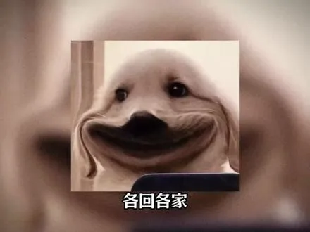 女司机：这是高速，摩托车不该上路！交警：好，扣12分