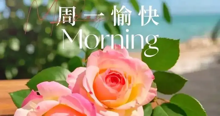18句暖心早安文案，温柔向暖，美好如初，愿你遇见生活所有美好