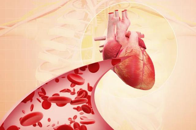 血脂高不高，看腿就知道？若没有这4个迹象，说明你的血管很通畅