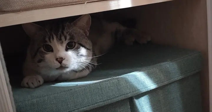 听彭凯平教授讲如何释放压力，缓解焦虑