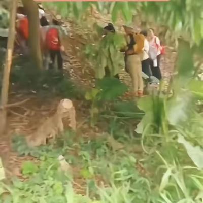 努历人生：奇怪不？最近网传某地村民发现一