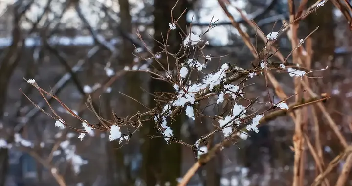 这3个排寒湿、活气血的食物，特别适合春天吃！