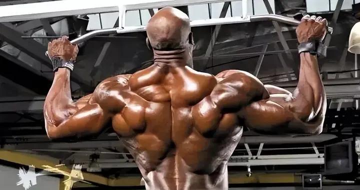 健体选手必练的背部训练动作，8周背阔肌可见外扩(含动图)