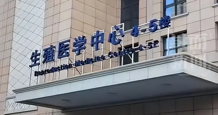 真的结婚证，能不能管得住假证“结”的胚胎？