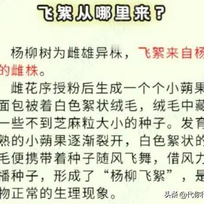 代你行走的CD：在京城最美四月天里，飞絮