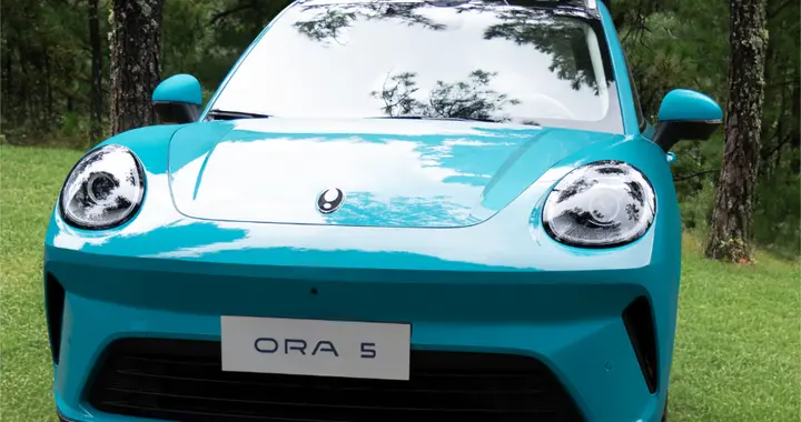 预售价一出，为何说长城欧拉5难成爆款？