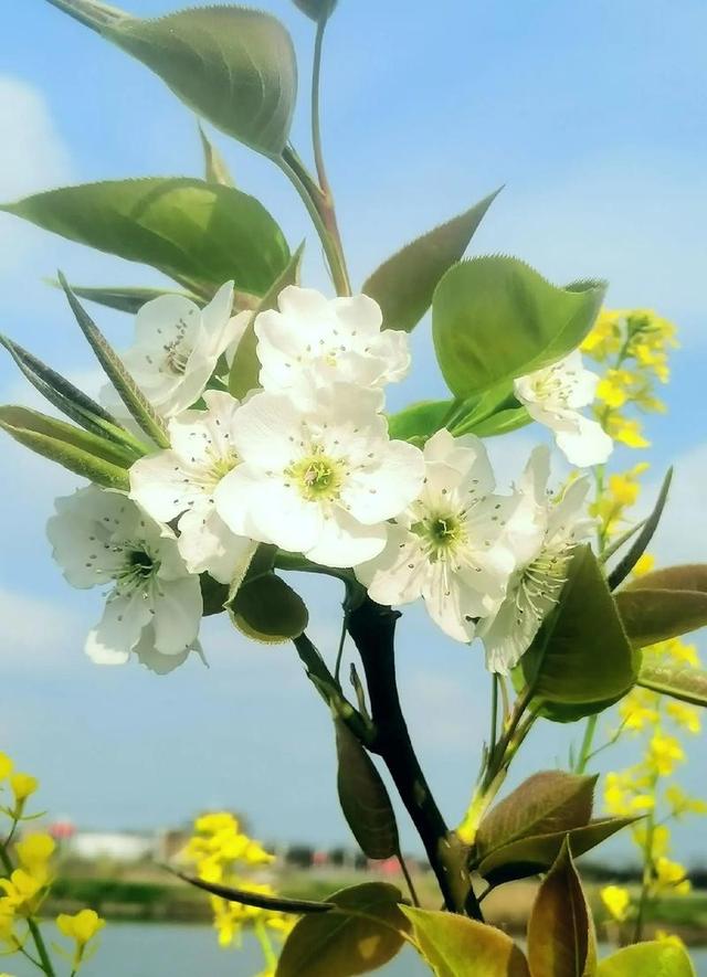 异性之间，男女踩过这3条“红线”，其实就是动情了