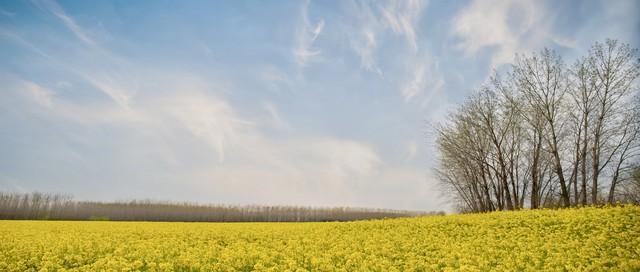 每天为你写首诗【第4402首】