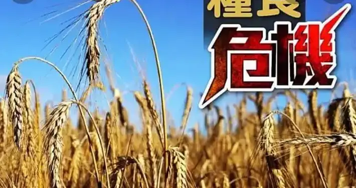 霍尔木兹封锁，会不会引发全球性的粮食危机？