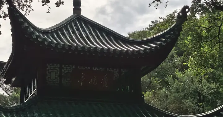 苏联的形式主义，为什么越反越多？