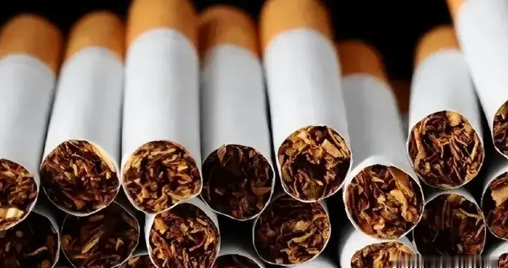 国常会亮剑！全链条打击涉烟违法，守护财税安全与国民健康！