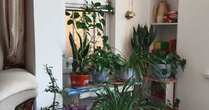 多年未见的老同学突然加微信，如果发现不对劲，果断拉黑