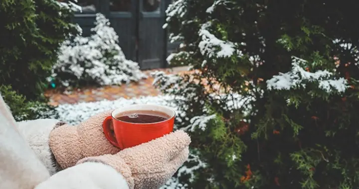 怕冷的人vs抗冻的人，身体到底有什么区别？