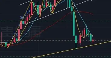 贵金属洗盘背后：散户别慌，看懂逻辑再出手