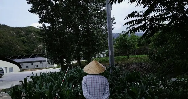 当好村干部，不用耍心眼，做到这4点，村民自然服你！