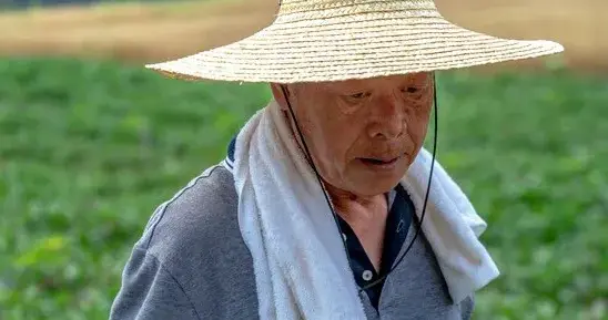 给儿女钱千万别乱给，这4个原则不懂，多半吃力不讨好还伤感情