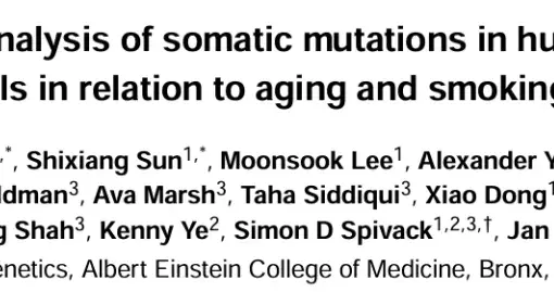 吸烟超23包年突变不涨？老烟枪不得癌竟是基因开挂