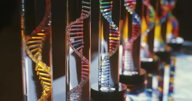 人类的肉体凭啥会在DNA完好无损的情况下,出现不可逆的衰老？