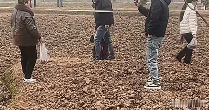 离谱！呆呆家泥土又火了，游客提麻袋挖泥土，泥土成抢手货！