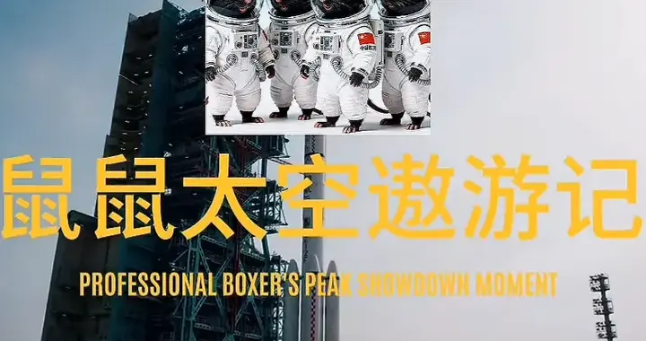 300只小鼠仅4只胜出！这些“小鼠航天员”将与航天员共赴太空