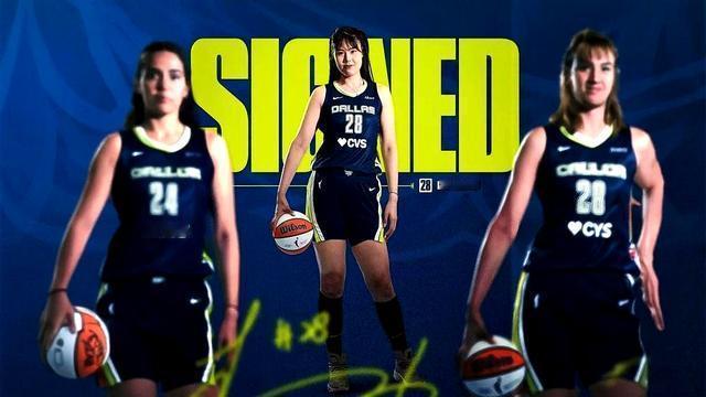 乖巧的帆：李月汝又回来了，带着一份无保障