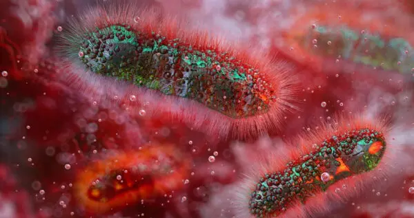 患有自闭症、多动症和厌食症的儿童都存在共同的微生物失衡问题。