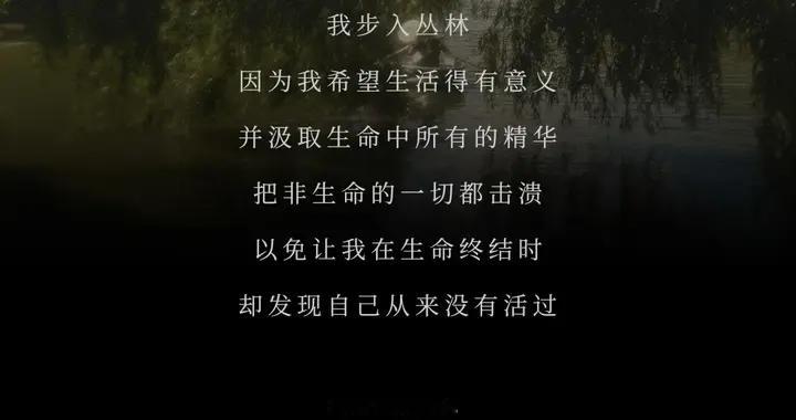 QYD起元×旭辉 丨 森屿暖树 墒以光年