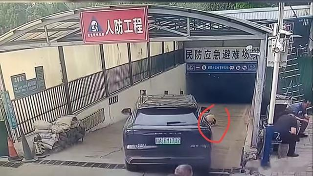小孩被车碾压后续：孩子爬起又倒下，知情人爆料，试管三次得来的