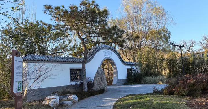 长江健康收5330万大罚单：被大股东坑惨连续40个跌停至退市