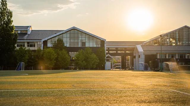 银杏树下：学校办不好，关键在领导！ 民办