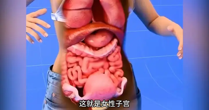 你知道女性怀孕后，身体都会经历哪些变化吗？