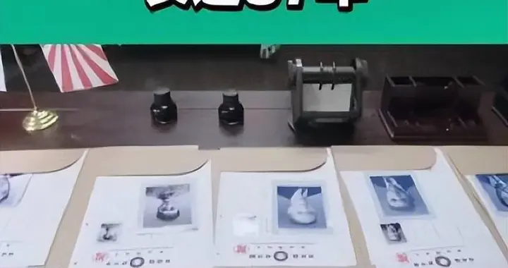 从稀土泄密案看日本对华情报渗透与反制