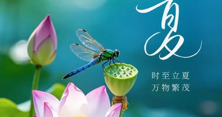12张立夏精美图片，长夏初醒，万物繁盛，你好，初夏