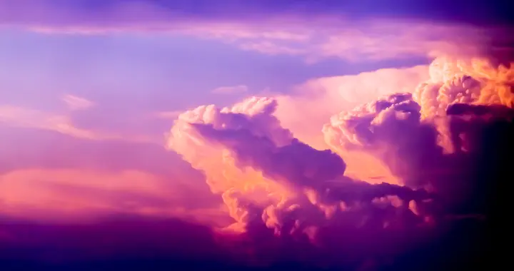 公司里，这类人越多越好