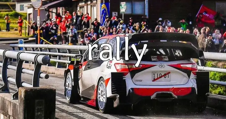 每日单词：rally