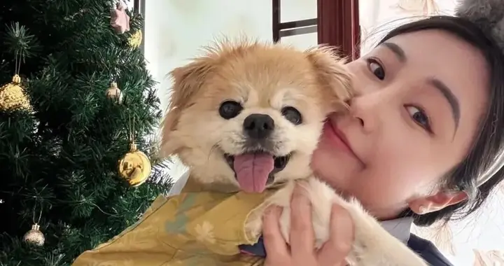 不结婚的年轻人，正裸辞给宠物养老