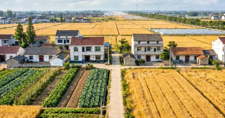 “出轨男把原配告赢，逼她公开道歉15天