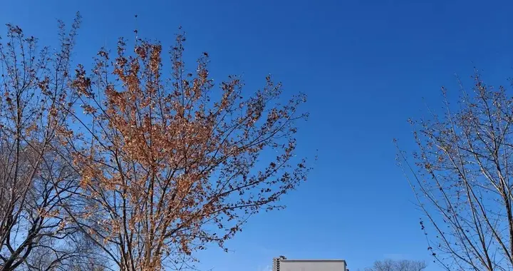 2026年养老金调整，40年工龄者待遇会更高？