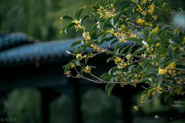 一触即溃，精关不固，可从这三个思路入手